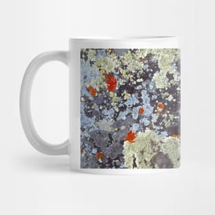 Lichens On Rock Mug